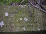 image of grave number 807523